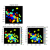 【CellProfiler】Example pipeline（Fruit fly cells）で画像解析の基礎を学ぶ②：Neighborhoodに関する特徴量