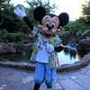 アウラニひとり旅（2日目：マカヒキで朝食） / Traveling Alone to Aulani, Disney Resort and Spa (Day2:Breakfast at Makahiki)
