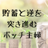 貯蓄と逆を突き進むボッチ主婦の事情(ﾛｰﾝ地獄)