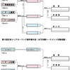 第16回日本シニアカーリング選手権大会の決勝トーナメント