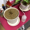 植え替えと、うどんこ病？