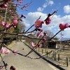信仰者の成長を導く教会（5）キリストとの関わりに生きる
