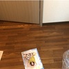 【困り事】母を部屋へ閉じ込める