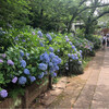 千葉県松戸市の本土寺に行ってきました