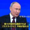 【＃ウクライナに平和を】市民連合主催、国際人権法専門の申惠丰青山学院大学法学部長と東大作上智大学教授の対談「他国の領土保全を武力で侵すことは禁止されているという国連の大原則にまずは立ち返るべき」
