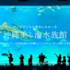 沖縄美ら海水族館見どころガイド｜日本最大級の大水槽や無料イルカショー、アクセス情報まで魅力を徹底紹介
