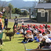 １・５年　パンジー植え付け