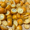 長らくのお休み
