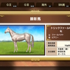 フェブラリーＳ＆天皇賞春連覇などＧ１８勝顕彰馬！白毛！自家製種牡馬×ピアニー産駒！トリックファール（Swtich版ダービースタリオン262）