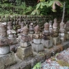 天童市　天童合戦と八幡山古戦場跡地をご紹介！⚔️