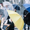 気象予報士ではなく気象解説士のほうが良い気がしないでも？