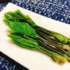 山菜の女王！コシアブラ【ゆる糖質制限メニュー】