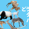 【競馬予想】阪神JFを予想します〈新興勢力は勝てるのか？〉