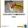 暑い犬・世知辛いので求人サイトを載せてみる・目でアルツハイマー診断ができるのか・過剰な銅はアルツハイマー病を誘発？うーん