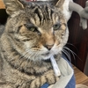 家にいる休日