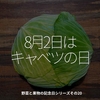 1737食目「8月2日はキャベツの日」野菜と果物の記念日シリーズその20
