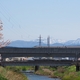 街をあるけば「伏見川」桜満開