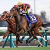 競馬初心者必見☆馬券予想🔥〜ホープフルS〜年内最後の大舞台！