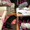 甲斐犬ブログ、その裏話の巻〜⁽⁽꜂(꜀(⑉ˎДˏ⑉)꜆₎₎’`ｧ’`ｧ激ｼｲﾜ……。