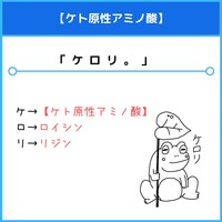 分岐鎖アミノ酸のゴロ 覚え方 薬学ゴロ 薬学部はゴロでイチコロ 分岐鎖アミノ酸のゴロ 覚え方 薬学ゴロ 薬学部はゴロでイチコロ