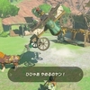 感覚で進む【ゼルダの伝説 ティアーズ オブ ザ キングダム プレイ日記165】大妖精様の元へ