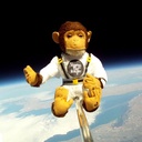 Monkey in Space