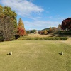 紅葉の中のんびり⛳