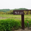 週末農業！サラリーマンの楽園 ～種まき🥕編～