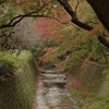 京都紅葉の旅2018　～その６　北野天満宮から昼食へ～