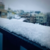 雪は昼過ぎに雨へと変わった