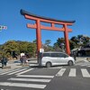 鶴岡八幡宮で、ぼたんの輝きに魅せられる