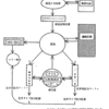 論文等から紐解くT-Code (3) 生体学的検討とモデル