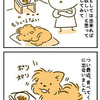 【犬漫画】ドライフード変遷：てんすけのご飯事情