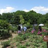 2019.05.19 つくば牡丹園と花豆