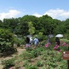 2019.05.19 つくば牡丹園と花豆