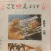 新聞デビューとなった愛犬「小春」＋α