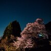 佛隆寺の夜桜。