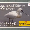 米子水鳥公園で“珍鳥総選挙” 確認された珍しい鳥の人気競う