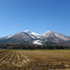 Wikipedia戦国史(1) 二階堂阿南（おなみ）
