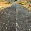 冬季休暇の9連休を活かして、心と体をリフレッシュする散歩道