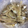 タイの魚で出汁を取って見た！