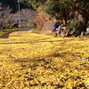 長野県矢筈公園キャンプツーリング ～その②～