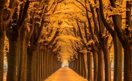 Go to entry