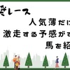 2023/11/18（土）推奨レース【京都9R＋おまけ】