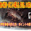 伊勢エビ釣り・ポイントの探し方、釣り方、よく釣れる仕掛け