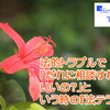 法的トラブルで「だれに相談すればいいの？」という時の『法テラス』。