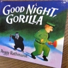 Goodnight, gorilla