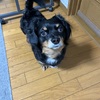 10秒を生きる