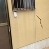 いきなり蛇に遭遇するとビビってしまいます。