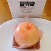 カンツバキ　桃太郎